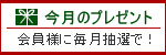 �����̃v���[���g�B
