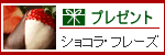 �����̃v���[���g�B