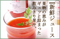 �݂̂���ʏ`�W���[�X