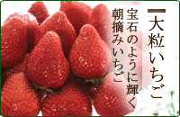 �`�@��D��