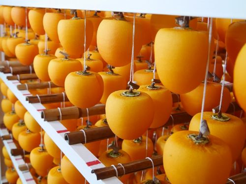 皮むき工程を終えたばかりの大和百目柿