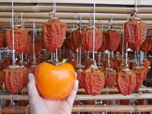 皮むき前の柿との比較