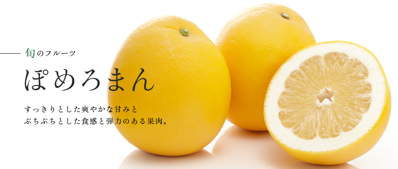 京橋千疋屋 ぽめろまん