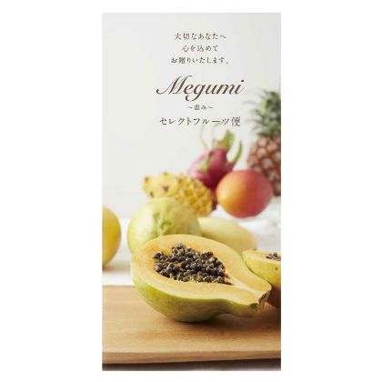 セレクトフルーツ便～恵み～