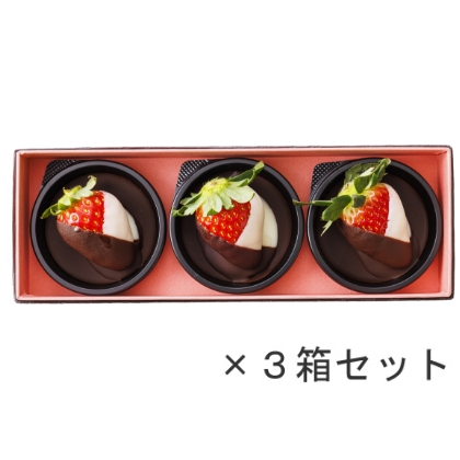 ショコラ・フレーズ 3個入×３箱セット