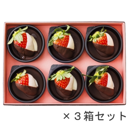 ショコラ・フレーズ 6個入×３箱セット